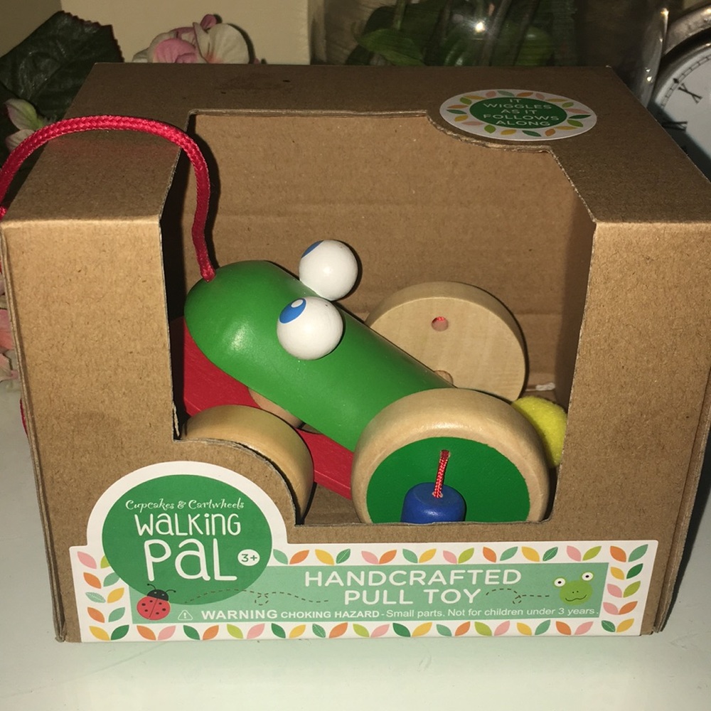 Handcrafted Pull Toy